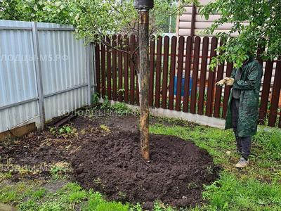 Геологоразведка и поиск водоносного слоя